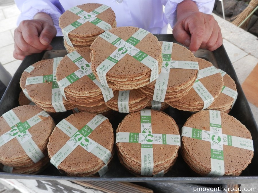 Japan Travel Guide | Part 4 ~ 7 Days 6 Nights Japan Itinerary Visiting Tokyo, Kyoto, Nara, Osaka and Kobe