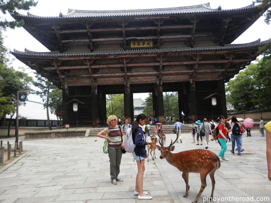 Japan Travel Guide | Part 4 ~ 7 Days 6 Nights Japan Itinerary Visiting Tokyo, Kyoto, Nara, Osaka and Kobe