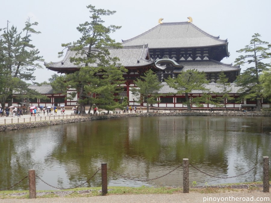 Japan Travel Guide | Part 4 ~ 7 Days 6 Nights Japan Itinerary Visiting Tokyo, Kyoto, Nara, Osaka and Kobe