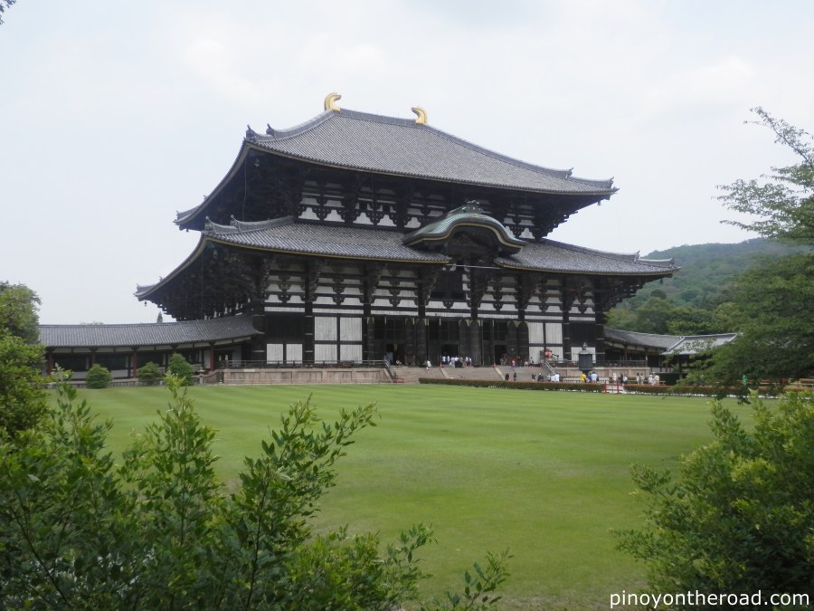 Japan Travel Guide | Part 4 ~ 7 Days 6 Nights Japan Itinerary Visiting Tokyo, Kyoto, Nara, Osaka and Kobe