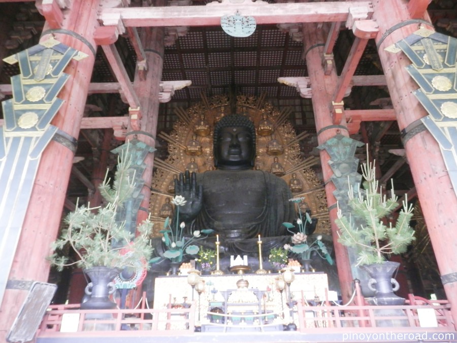 Japan Travel Guide | Part 4 ~ 7 Days 6 Nights Japan Itinerary Visiting Tokyo, Kyoto, Nara, Osaka and Kobe