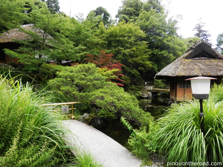 Japan Travel Guide | Part 3 ~ 7 Days 6 Nights Japan Itinerary Visiting Tokyo, Kyoto, Nara, Osaka and Kobe