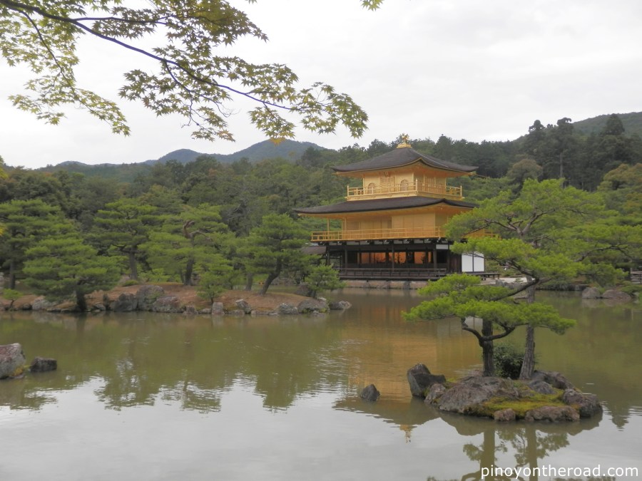 Japan Travel Guide | Part 3 ~ 7 Days 6 Nights Japan Itinerary Visiting Tokyo, Kyoto, Nara, Osaka and Kobe