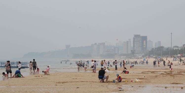 Daecheon Beach (photo frm koreandiaries.wordpress.com)