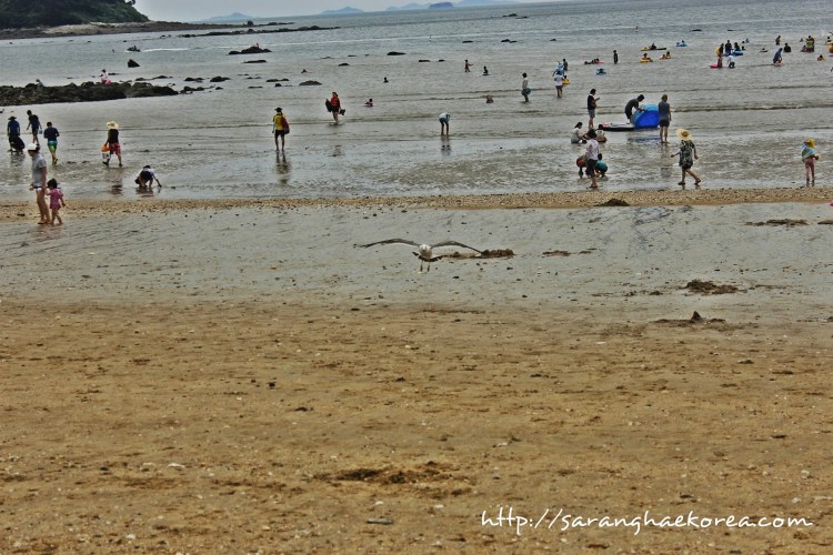 Muchangpo Beach (photo from http://www.saranghaekorea.com)