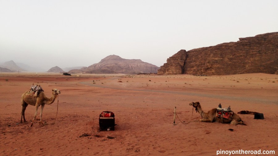 12 wadi rum